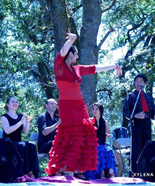 flamenco 3